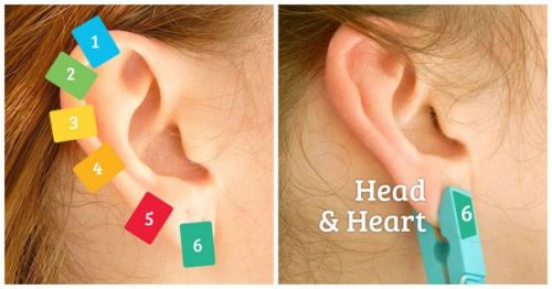 Точки органов на ушах